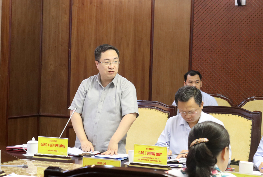 Đồng chí Đặng Xuân Phương, Phó Bí thư Tỉnh ủy, phát biểu tại hội nghị.