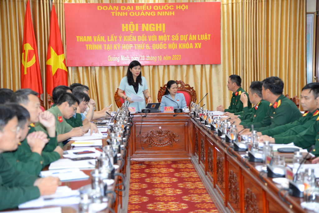  Đoàn ĐBQH tỉnh lấy ý kiến đối với một số dự án luật trình tại Kỳ họp thứ 6, Quốc hội khóa XV  