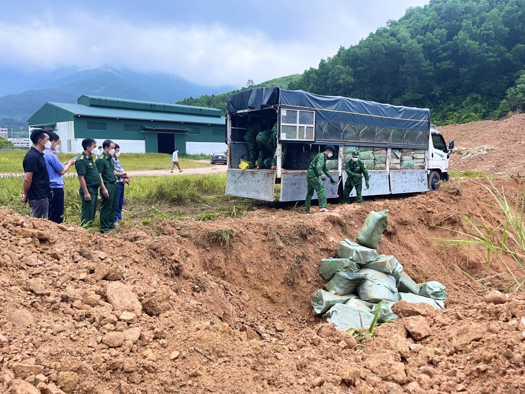 Lực lượng chức năng tiêu hủy hơn 5 tấn nầm lợn đông lạnh