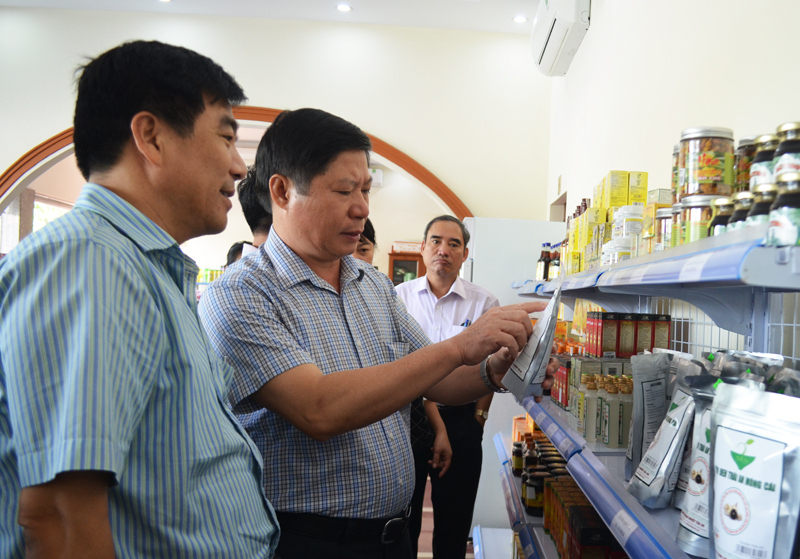 Không ít sản phẩm nông nghiệp ở những vùng quê NTM Quảng Ninh đã trở thành sản phẩm OCOP nổi tiếng.