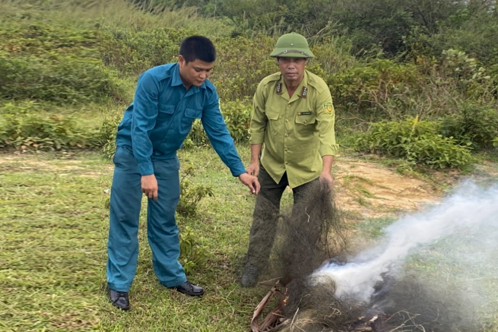 Các địa phương toàn tỉnh cũng kiên trì và tăng cường tuyên truyền cho người dân trên địa bàn về công tác bảo vệ chim hoang dã. Ảnh: Lực lượng chức năng TP Móng Cái tiêu hủy bẫy đánh bắt chim trời.