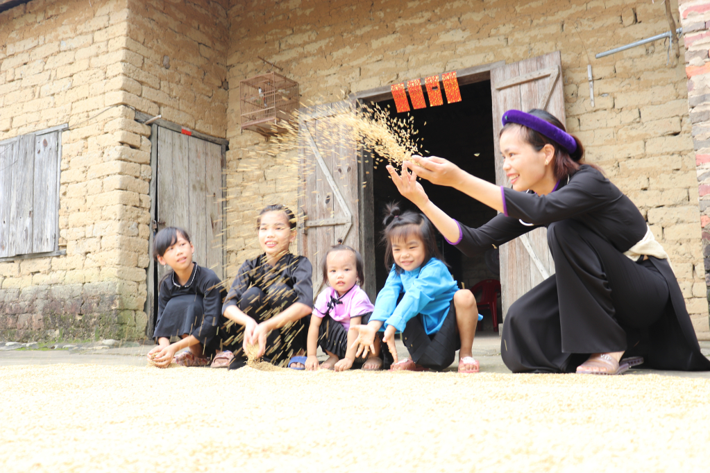Người dân xã Lục Hồn, huyện Bình Liêu hạnh phúc với mùa vàng bội thu. 
