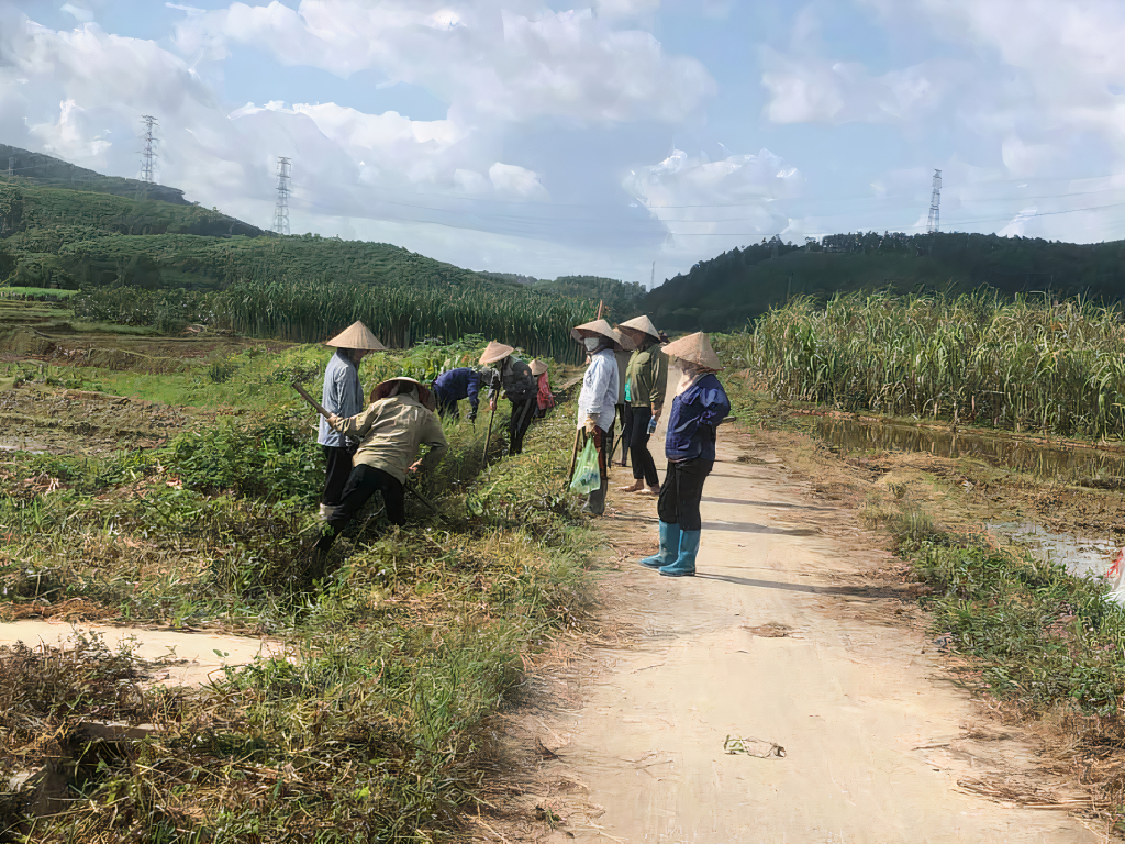 Nhân dân trên địa bàn TP Hạ Long triển khai hiệu quả phong trào