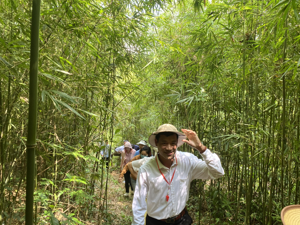 Du khách trải nghiệm tham quan rừng trúc tại xã Kỳ Thượng. 