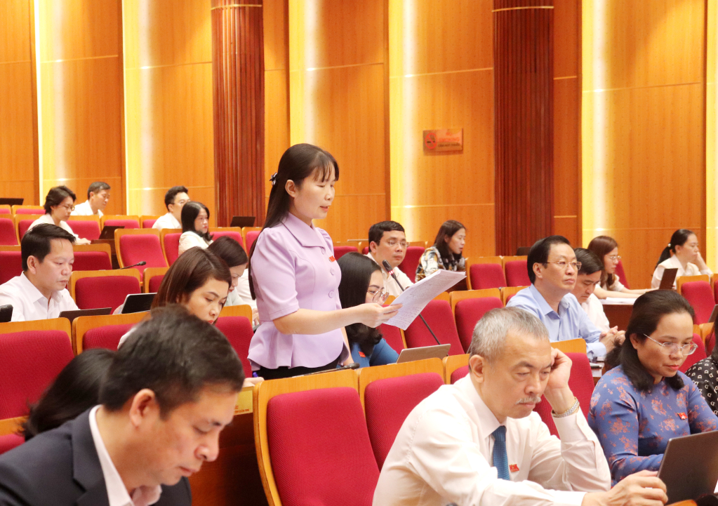 Đại biểu Nguyễn Thị Định, Hiệu trưởng Trường THPT Hoành Bồ, Tổ đại biểu TP Hạ Long, phát biểu tại kỳ họp.