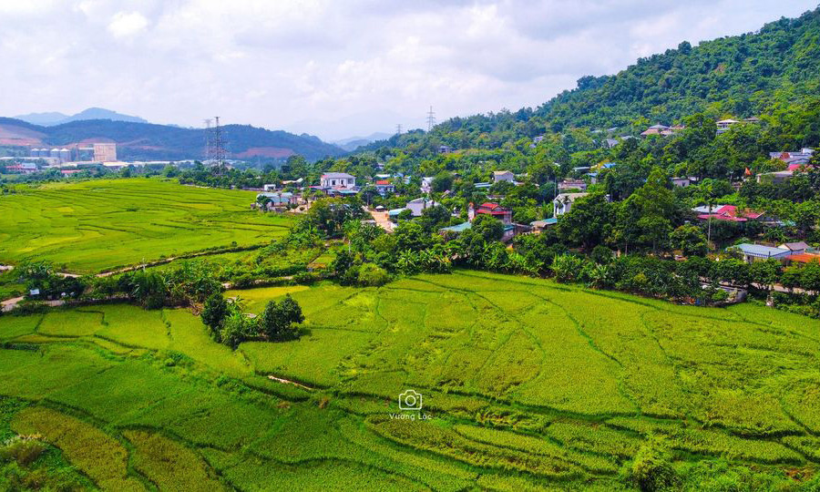 Đến Hòa Bình, ghé thăm Lương Sơn và thị trấn Kỳ Sơn mùa lúa chín