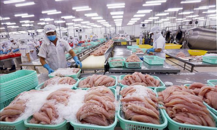Xuất khẩu thủy sản khó bứt phá trong ngắn hạn