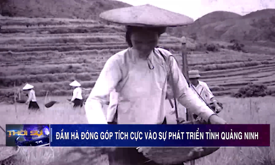 Đầm Hà đóng góp tích cực vào sự phát triển tỉnh Quảng Ninh