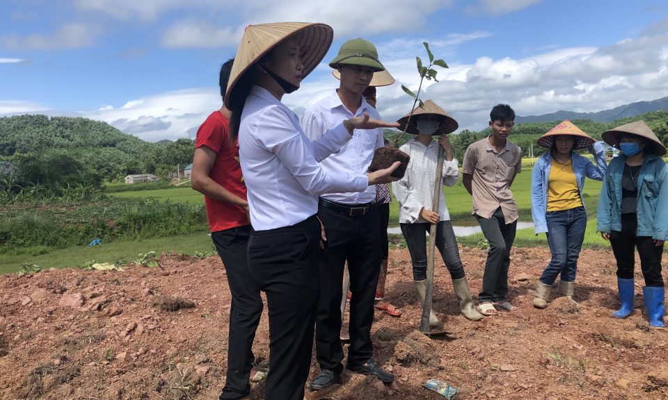 Hiệu quả đào tạo nghề cho lao động nông thôn