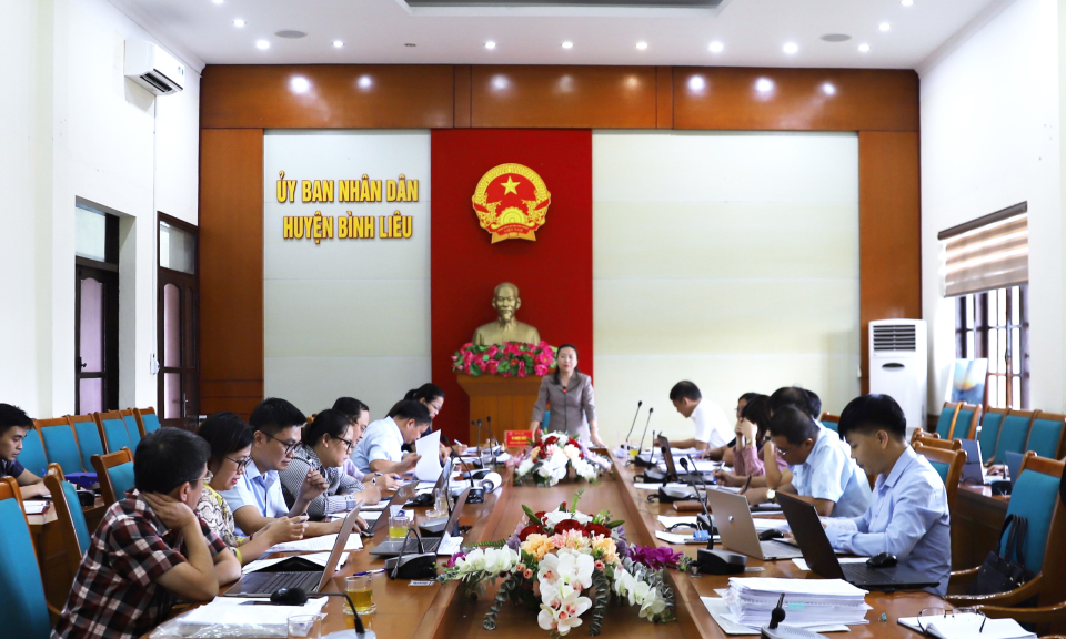Giám sát việc thực hiện các nghị quyết HĐND tỉnh tại huyện Bình Liêu