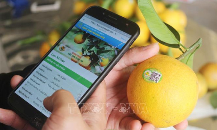 Áp lực khi đưa nông sản lên sàn thương mại điện tử