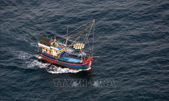 Vietnam launches all-out effort in preparation for anti-IUU fishing inspection