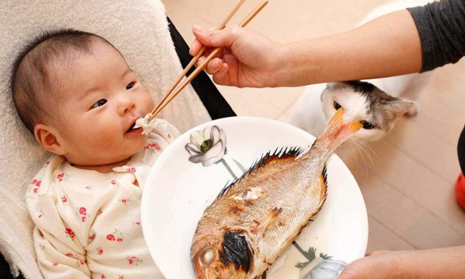 Hải sản giàu canxi nhưng cho trẻ ăn thế nào mới đúng?
