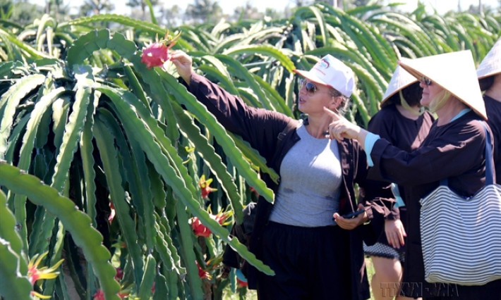 Tourism should be considered economic driver: experts