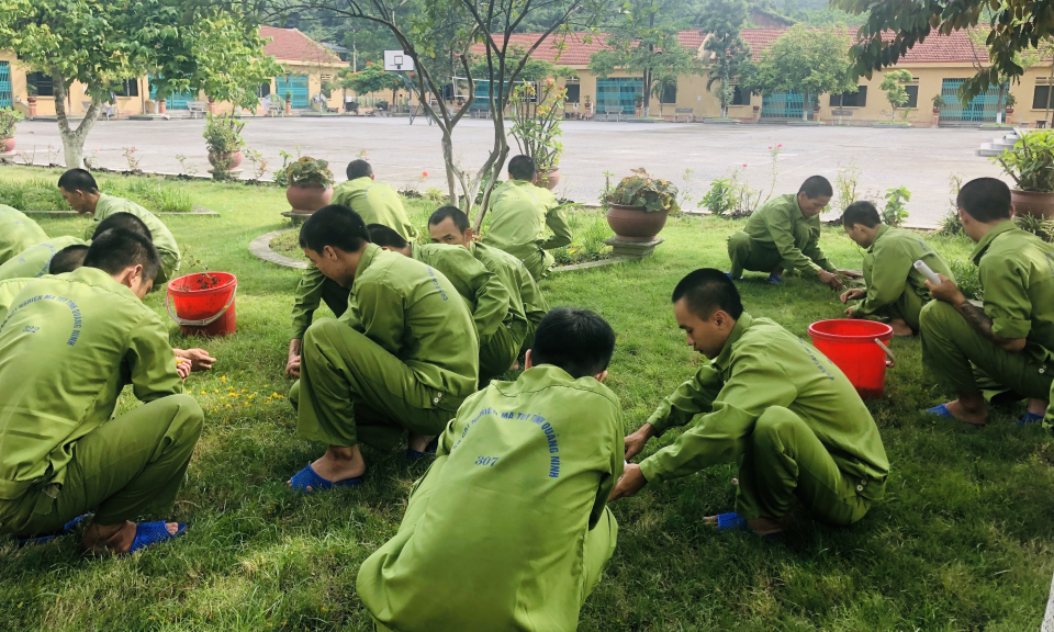 Nỗ lực phòng, chống tệ nạn xã hội