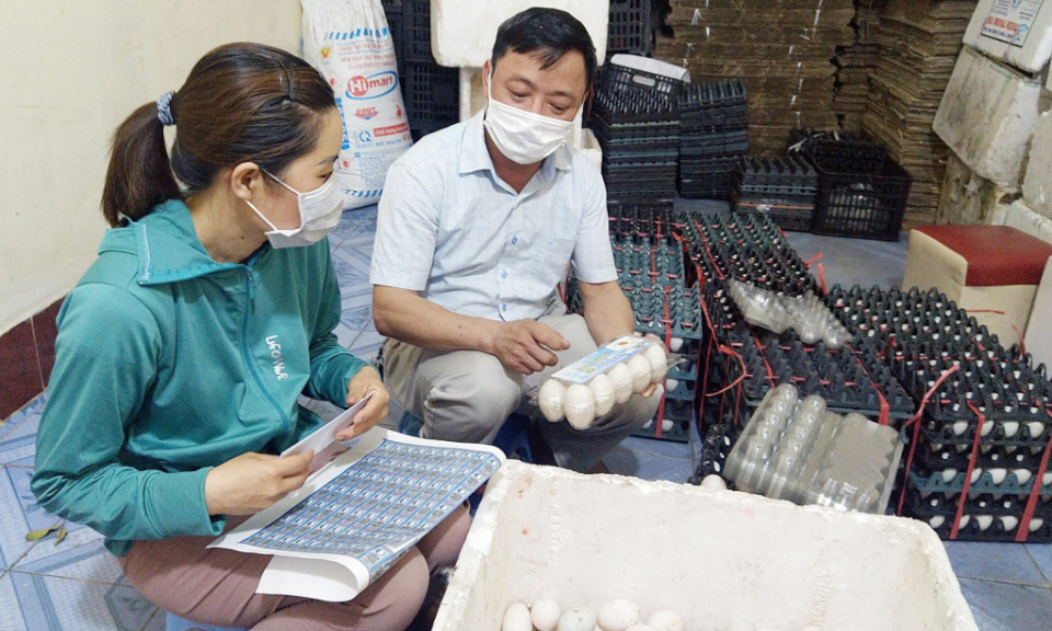 Tạo sức bật cho nông sản từ liên kết sản xuất