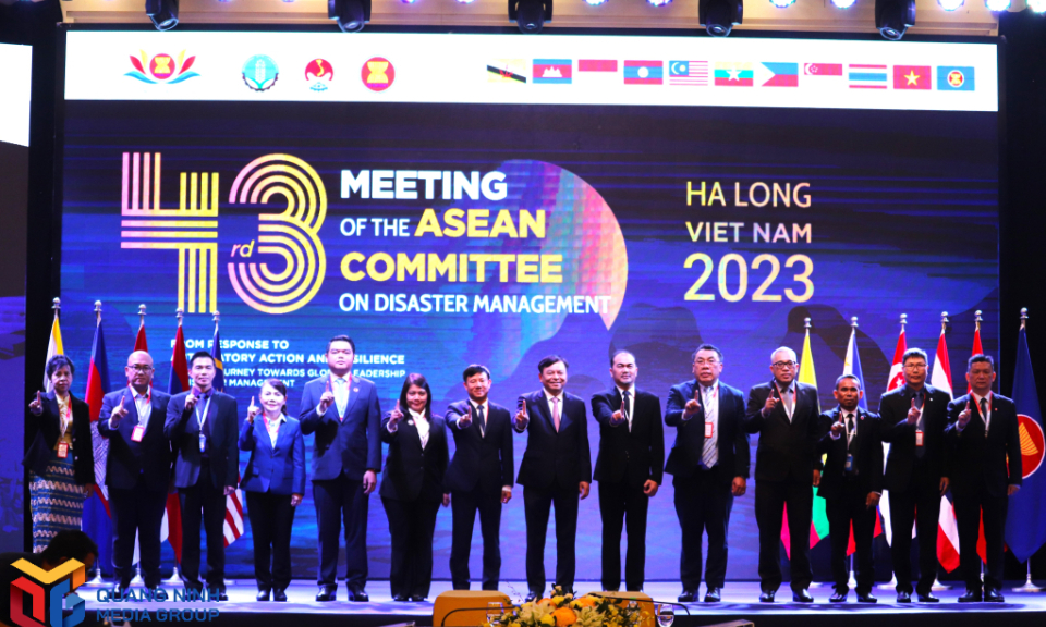 Bản tin vùng Đông Bắc ngày 10/10/2023
