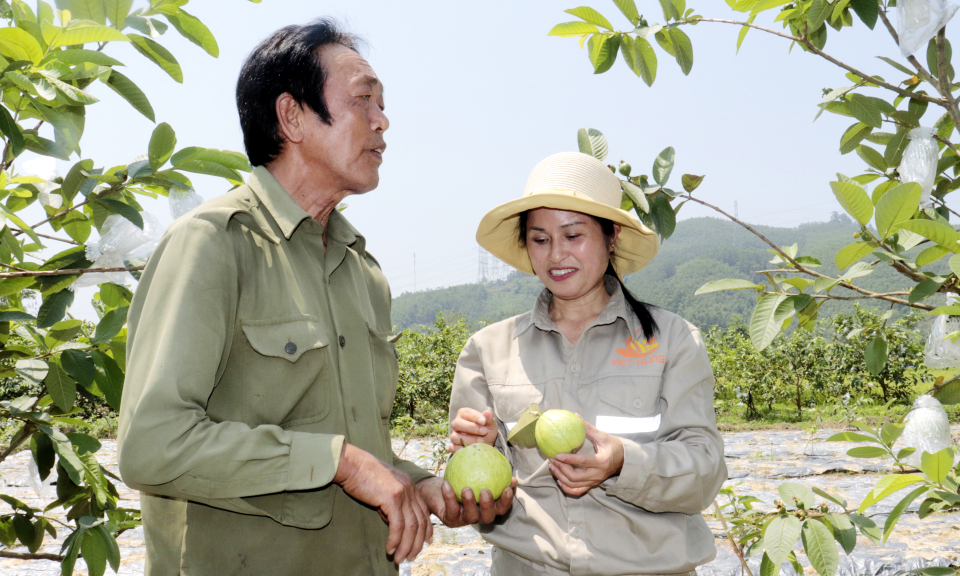 Chắp cánh cho sản phẩm OCOP