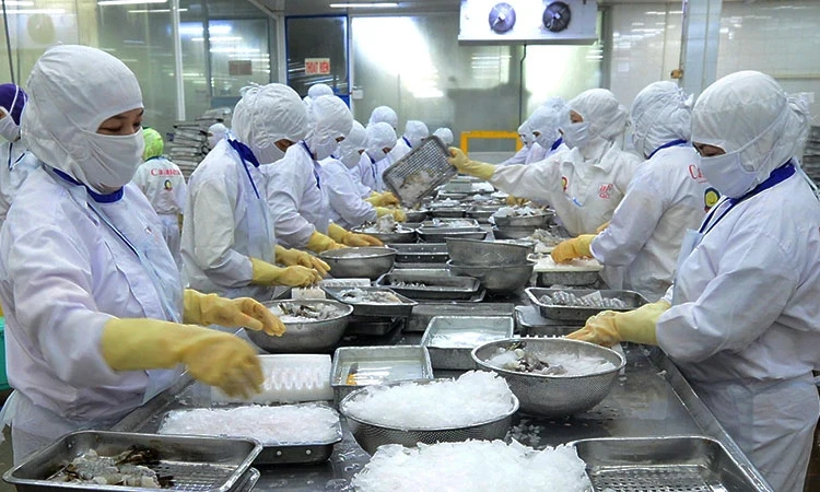 Mở rộng cơ hội cho xuất khẩu