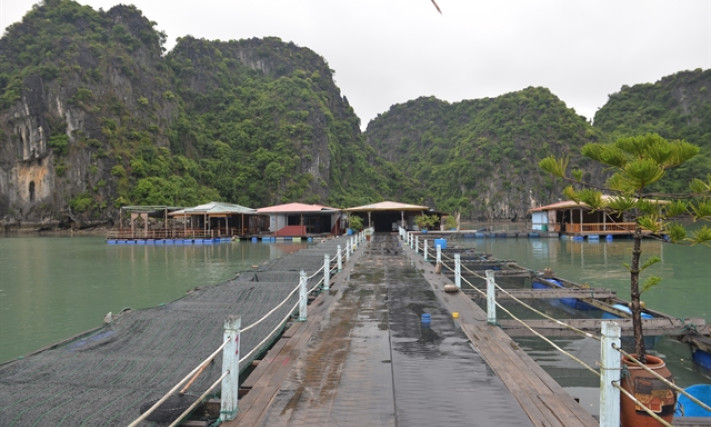 Quảng Ninh makes effort to preserve old fishing villages in Hạ Long Bay