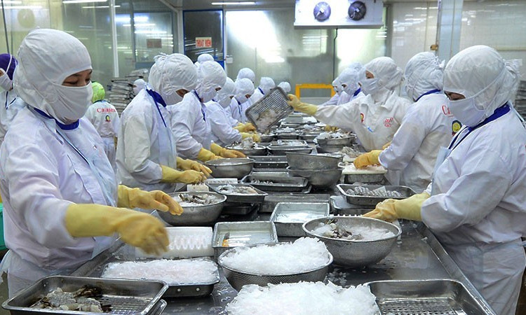 Expanding opportunities for exports 