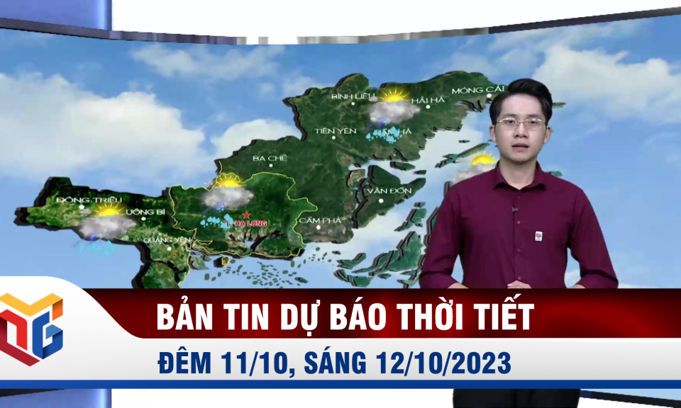 Bản tin dự báo thời tiết đêm 11, ngày 12/10/2023