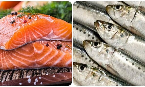 3 loại cá giàu canxi hơn cả sữa bạn nên biết