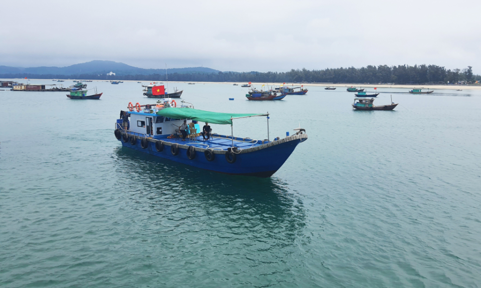 Tiếp tục ưu tiên nguồn vốn đầu tư xây dựng cơ sở hạ tầng nghề cá, hạ tầng nuôi trồng thủy sản