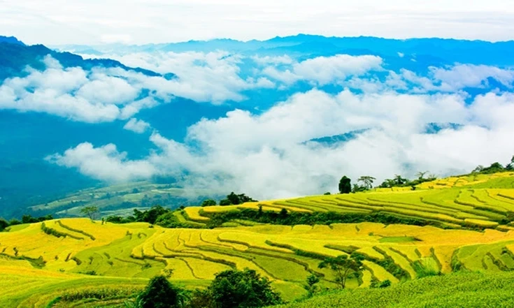 Tới Na Hang ngắm mùa vàng Hồng Thái