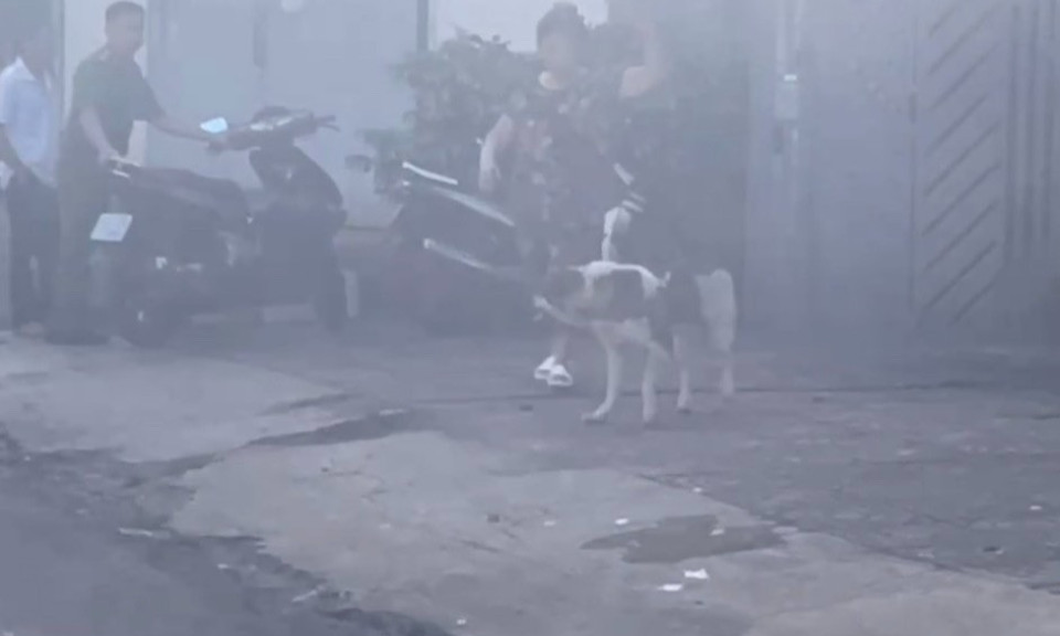Người phụ nữ nhặt ve chai bị chó lớn tấn công, kéo lê trên đường