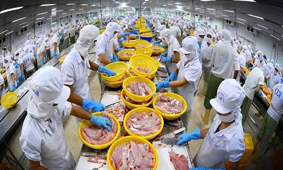 Vietnam needs brand building to boost exports to CPTPP market