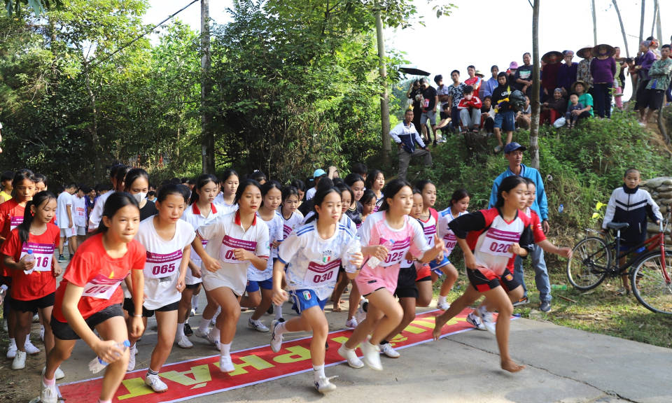 Gần 600 VĐV tham gia giải chạy “Cung đường mùa vàng” năm 2023