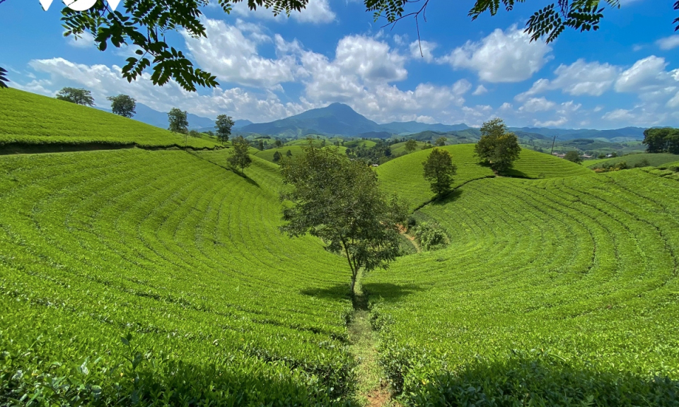 Bản tin vùng Đông Bắc ngày 16/10/2023