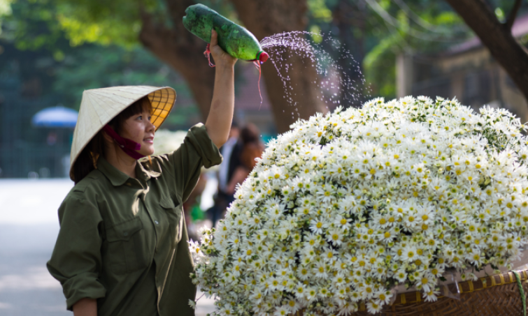 7 experiences to embrace autumn in Hanoi