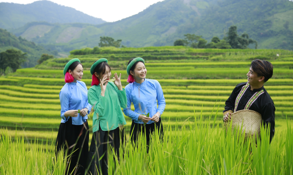 Về với “Mùa vàng miền Sóong Cọ” xã Đại Dực
