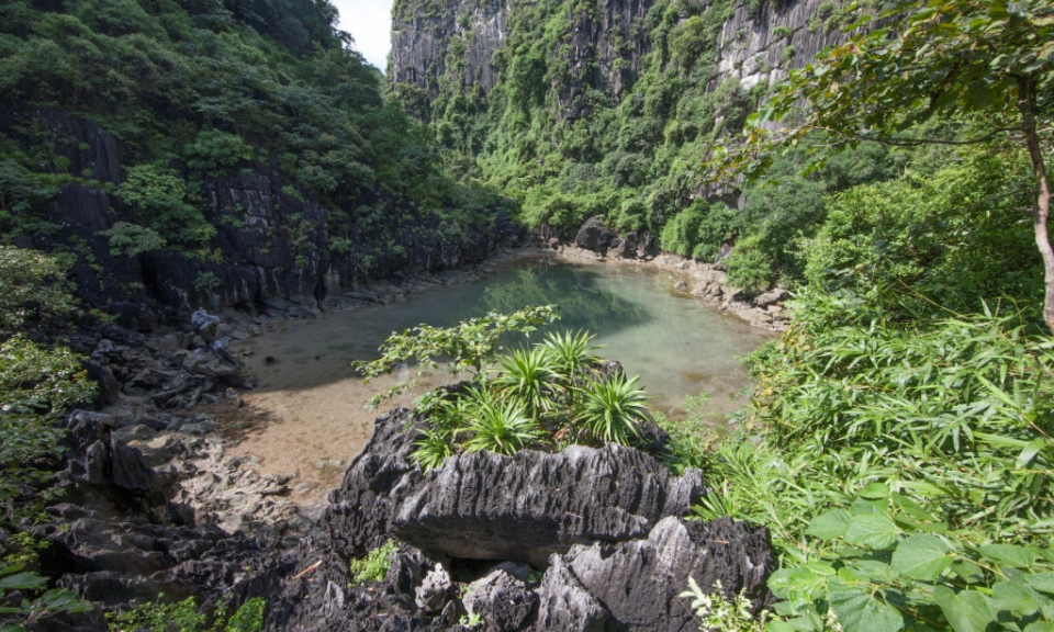 Ang Tien - A natural museum in the core of Ha Long Bay