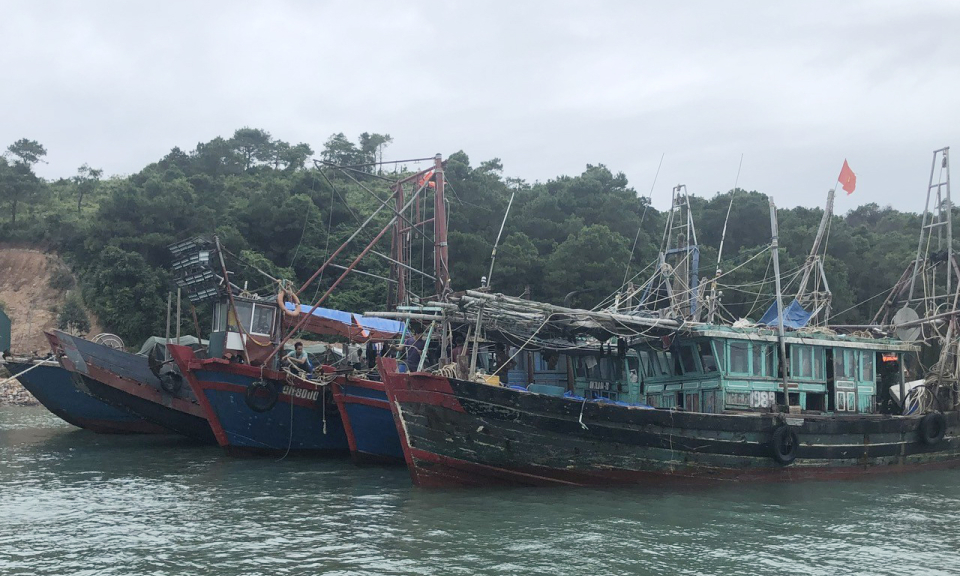 Đồn Biên phòng cửa khẩu cảng Vạn Gia: Bắt giữ 5 tàu khai thác thủy sản sai nghề