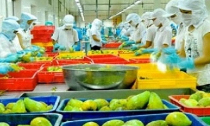 Xuất khẩu rau quả phá kỷ lục lịch sử