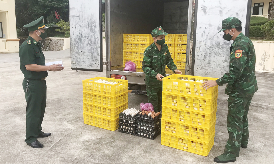 Vận chuyển 9.600 quả trứng vịt lộn không rõ nguồn gốc xuất xứ