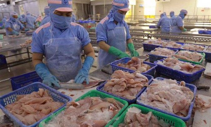 Xuất khẩu cá tra 9 tháng đạt gần 1,4 tỷ USD