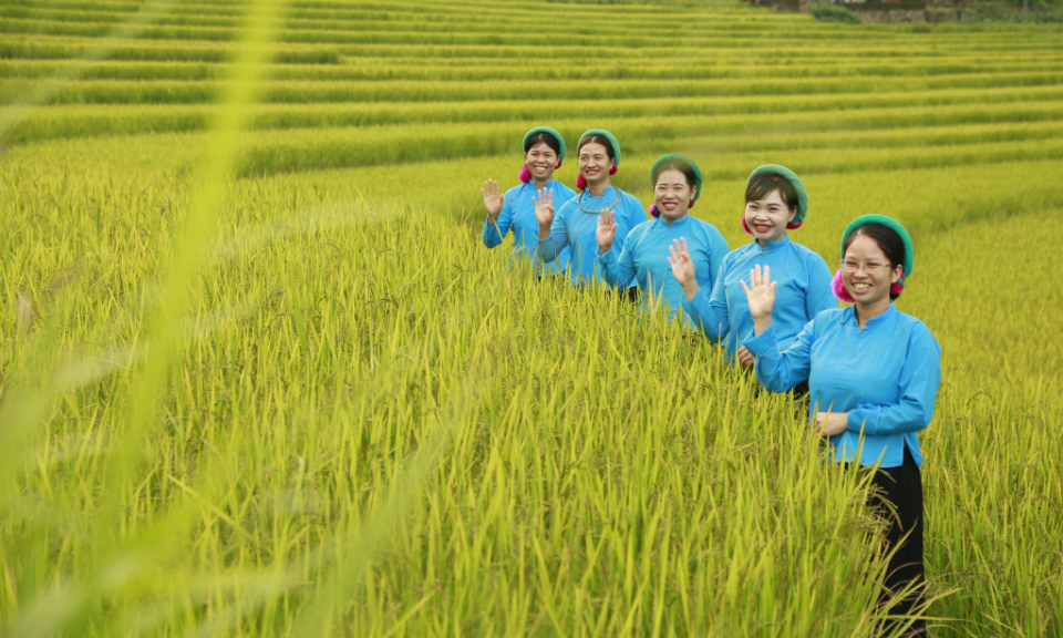 "Soong Co yellow season" festival to honor ethnic traditional cultures