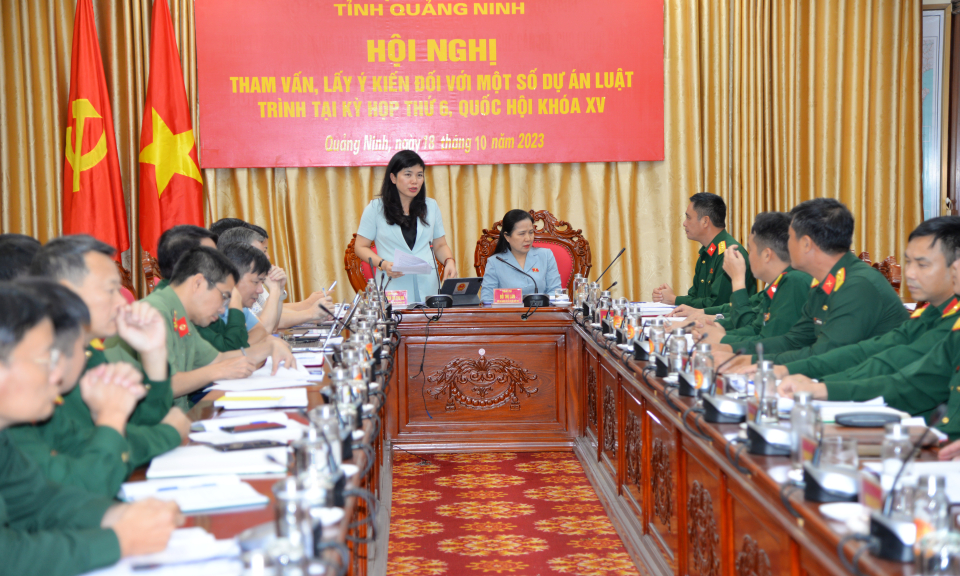 Đoàn ĐBQH tỉnh lấy ý kiến đối với một số dự án luật trình tại Kỳ họp thứ 6, Quốc hội khóa XV 
