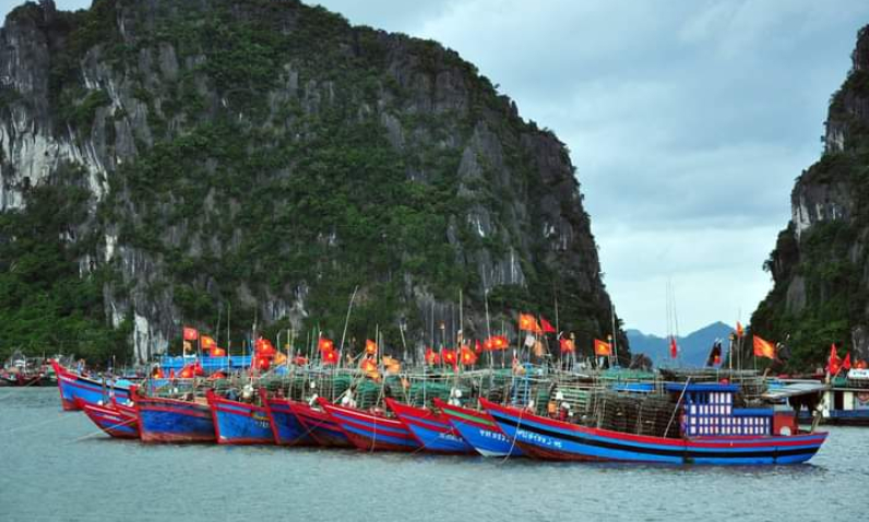 Chuyển biến tích cực trong gỡ “thẻ vàng” thuỷ sản