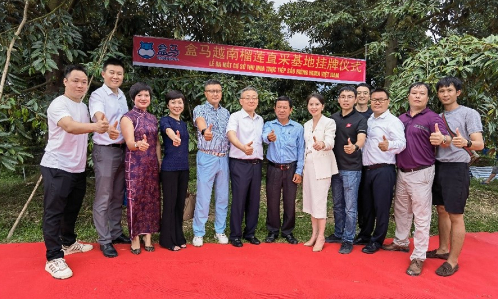 盒马在越南落地榴莲直采基地