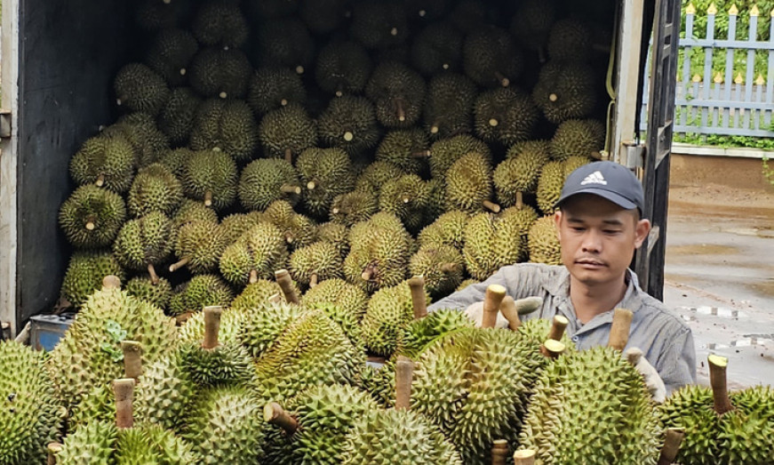 Tăng trưởng mạnh, xuất khẩu rau quả hướng tới kỷ lục 6 tỉ USD