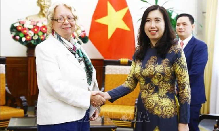 Vietnam to contribute more to UN, int’l organisations: official