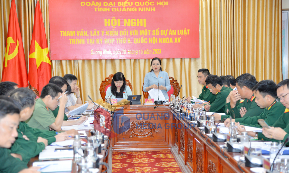 Đoàn ĐBQH tỉnh lấy ý kiến đối với một số dự án luật trình tại Kỳ họp thứ 6, Quốc hội khóa XV, tháng 10-2023