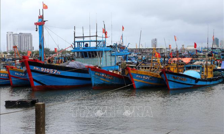Từ Quảng Ninh đến Kiên Giang chủ động ứng phó với gió mạnh trên biển
