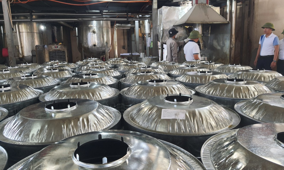 Doanh nghiệp tiên phong phát triển giống thông bản địa