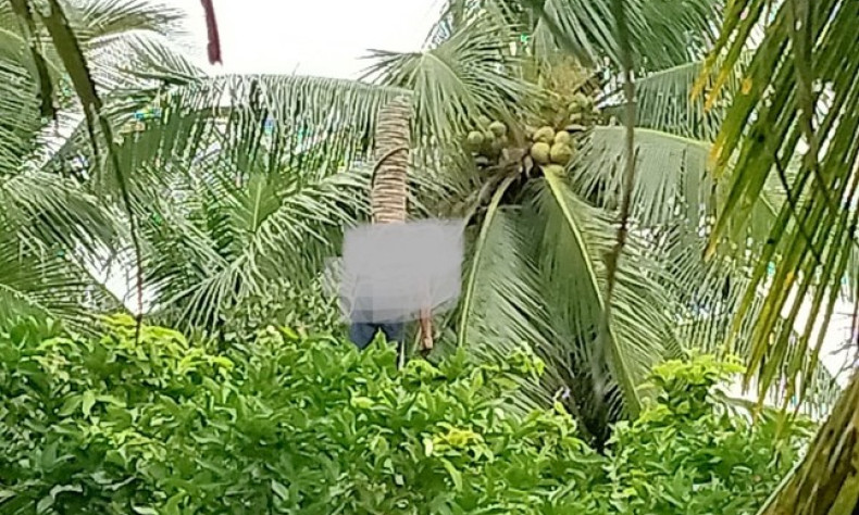 Người đàn ông tử vong treo lơ lửng trên cây dừa
